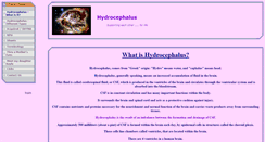 Desktop Screenshot of hydrocephalus.cfsites.org