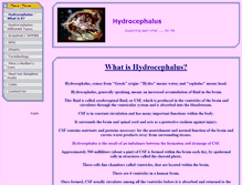 Tablet Screenshot of hydrocephalus.cfsites.org